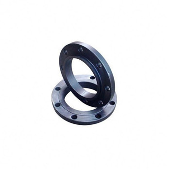 AISI304 & AISI316L Sanitary Stainless Steel Plate Flange 